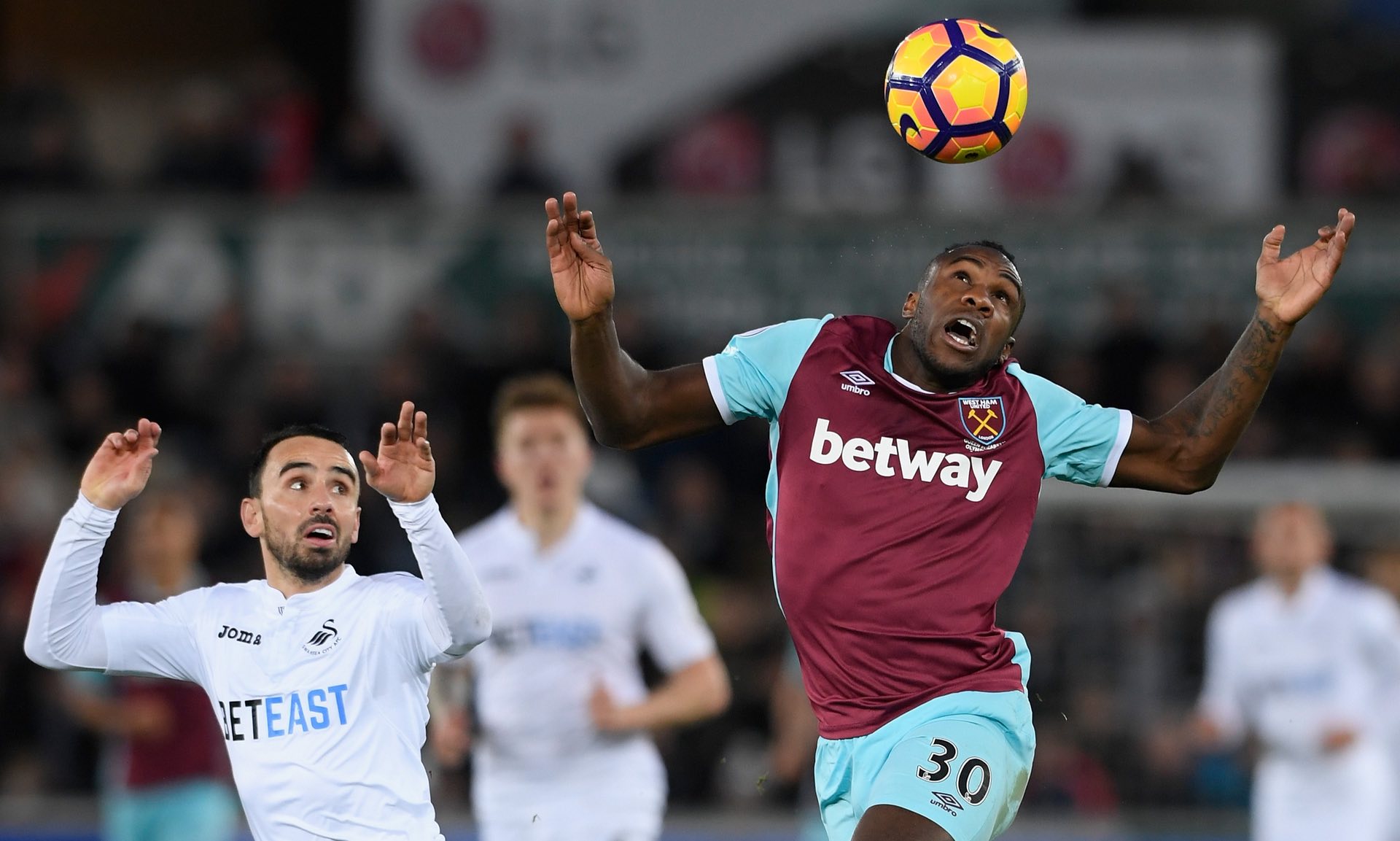 即便到了体 即便到了体