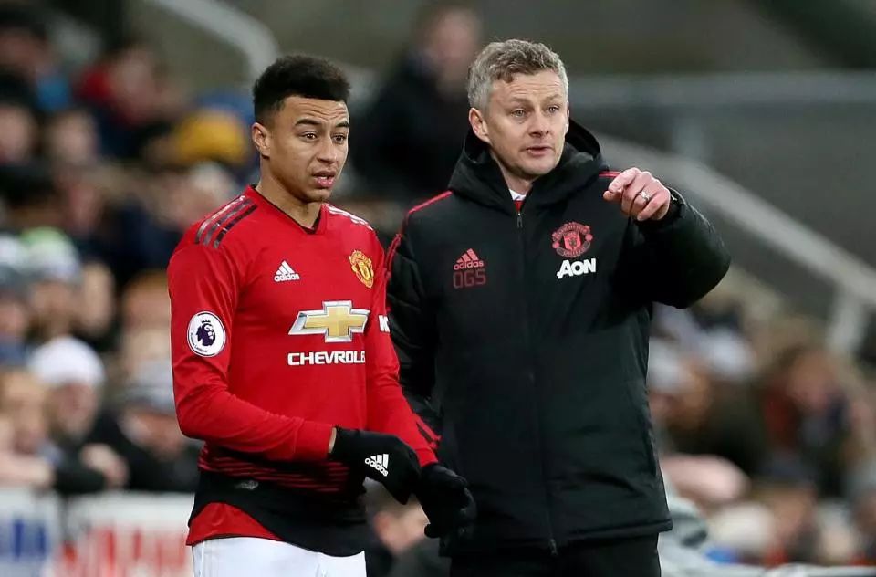 席执行官 席执行官